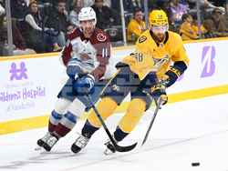 Avalanche Predators Hockey