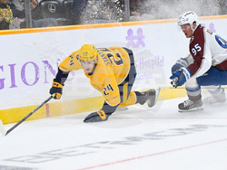 Avalanche Predators Hockey