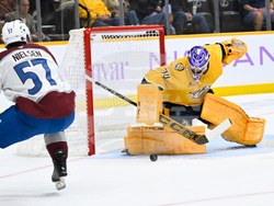 Avalanche Predators Hockey