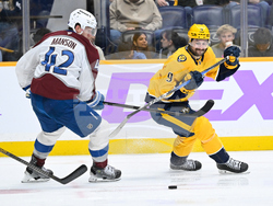 Avalanche Predators Hockey