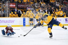 Avalanche Predators Hockey