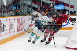 PWHL Sirens Charge Hockey