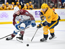 Avalanche Predators Hockey