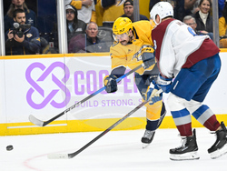 Avalanche Predators Hockey
