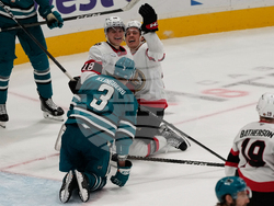 Senators Sharks Hockey