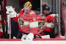 Oilers Panthers Hockey