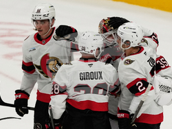 Senators Sharks Hockey