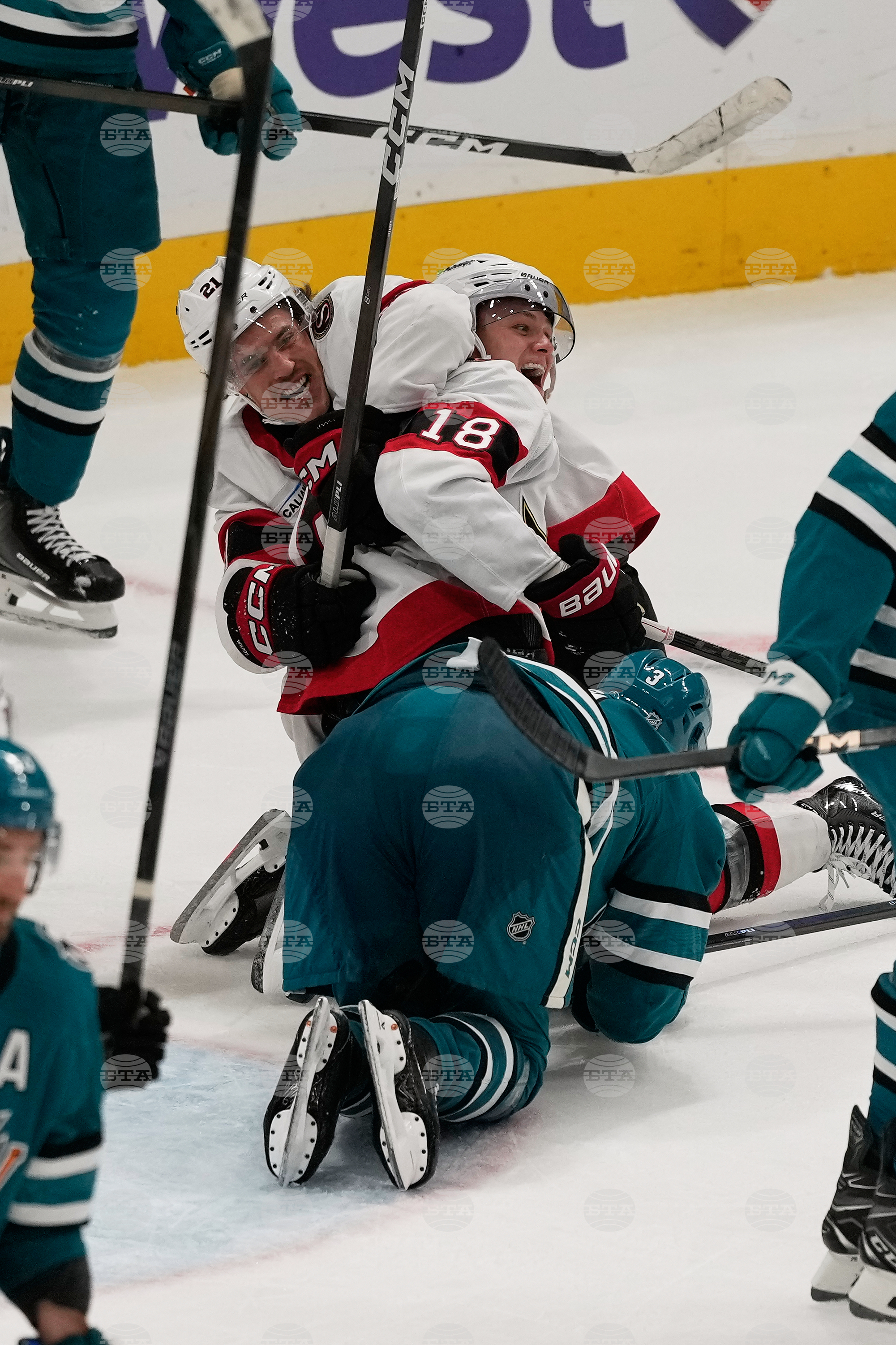 Senators Sharks Hockey