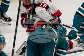 Senators Sharks Hockey