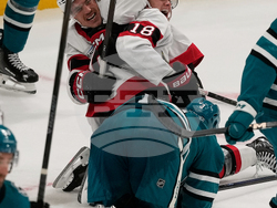 Senators Sharks Hockey