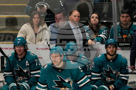 Senators Sharks Hockey