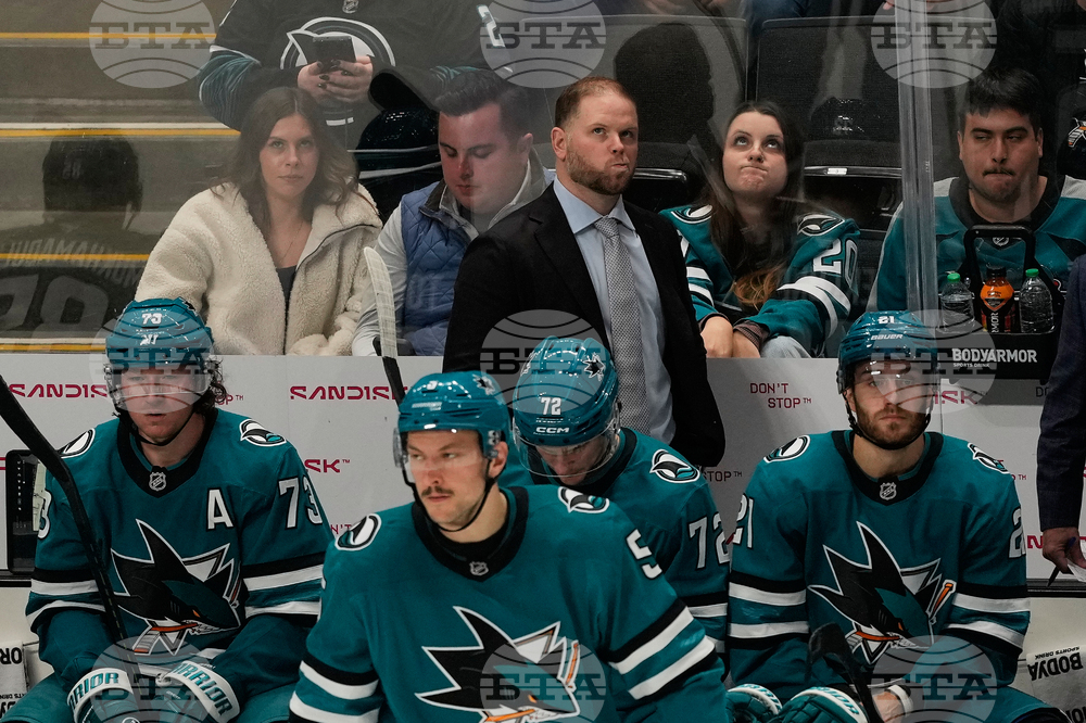 Senators Sharks Hockey