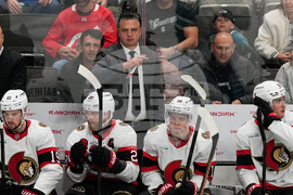 Senators Sharks Hockey