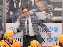 Kraken Penguins Hockey