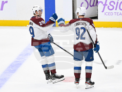 Avalanche Predators Hockey