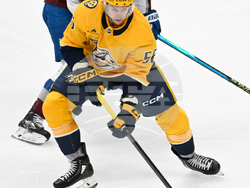 Avalanche Predators Hockey