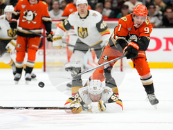 Golden Knights Ducks Hockey