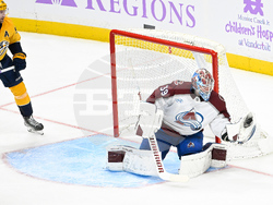 Avalanche Predators Hockey