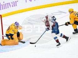 Avalanche Predators Hockey