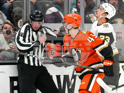 Golden Knights Ducks Hockey