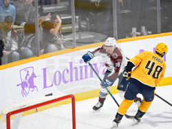 Avalanche Predators Hockey
