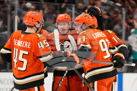 Golden Knights Ducks Hockey