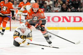 Golden Knights Ducks Hockey