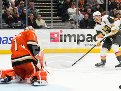 Golden Knights Ducks Hockey