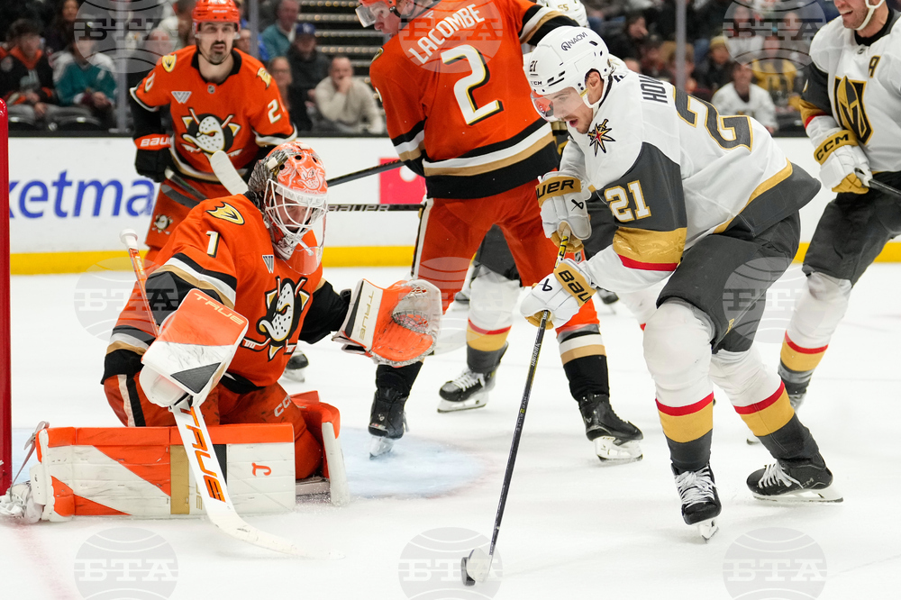 Golden Knights Ducks Hockey