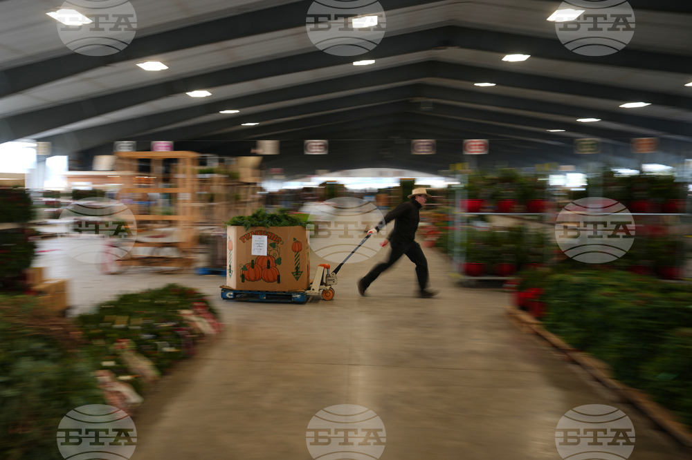 Christmas Tree Auction