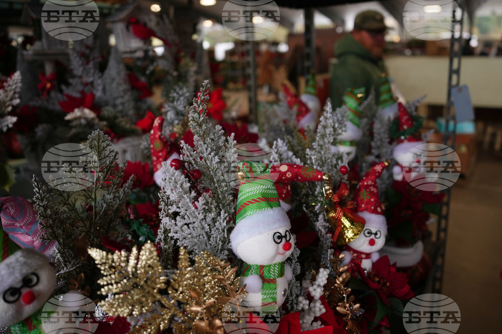 Christmas Tree Auction