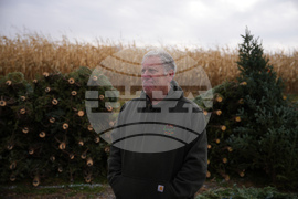 Christmas Tree Auction