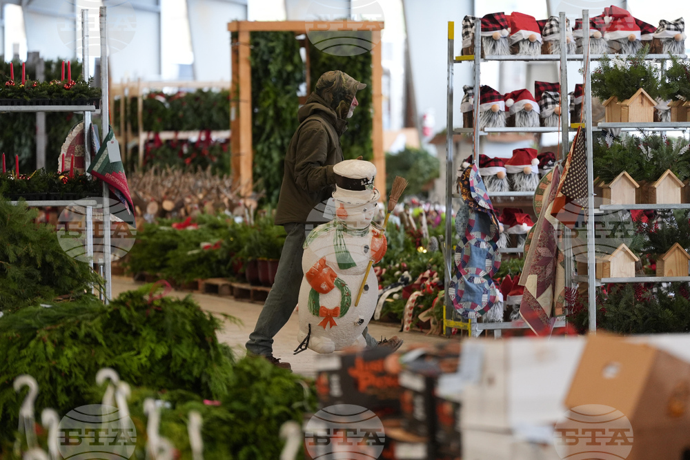 Christmas Tree Auction