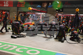 F1 Las Vegas Auto Racing