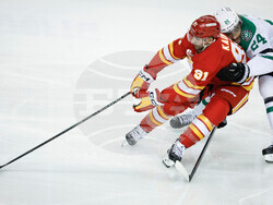 Stars Flames Hockey
