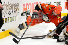 Golden Knights Ducks Hockey