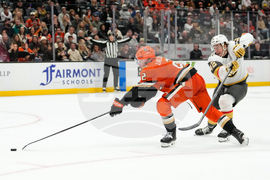 Golden Knights Ducks Hockey