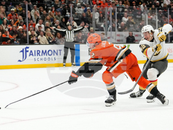 Golden Knights Ducks Hockey