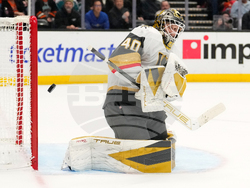 Golden Knights Ducks Hockey