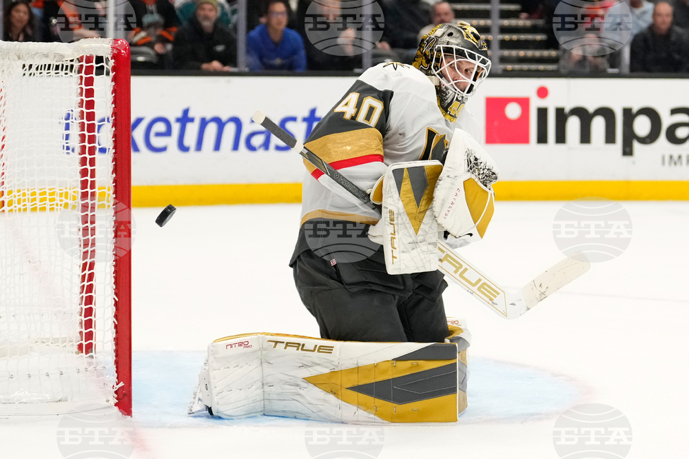 Golden Knights Ducks Hockey