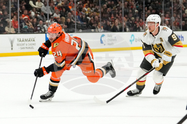 Golden Knights Ducks Hockey