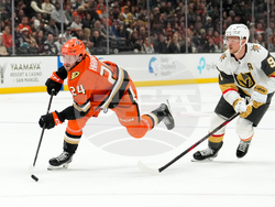 Golden Knights Ducks Hockey