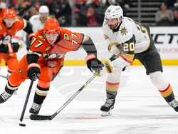 Golden Knights Ducks Hockey