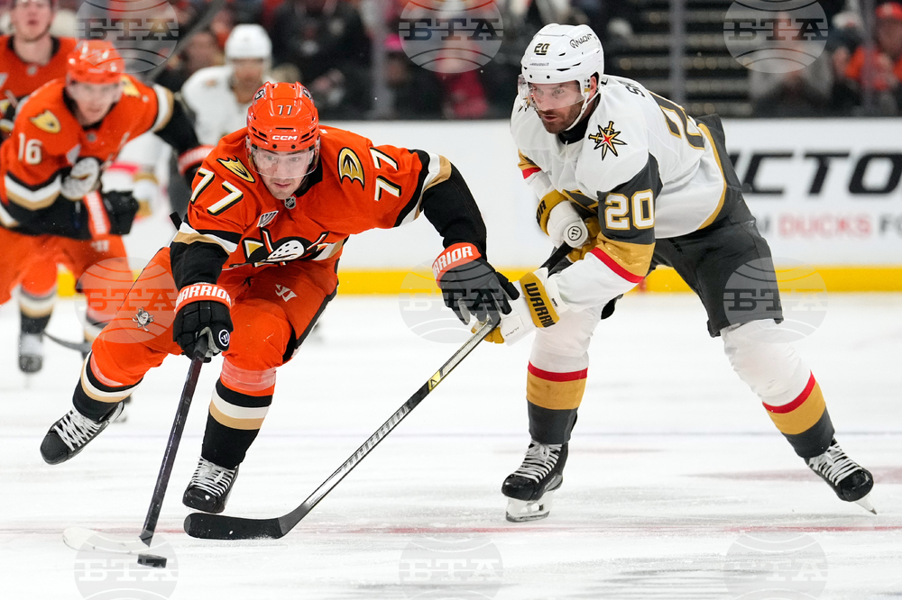 Golden Knights Ducks Hockey