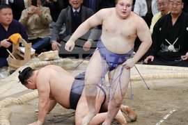 Japan Sumo