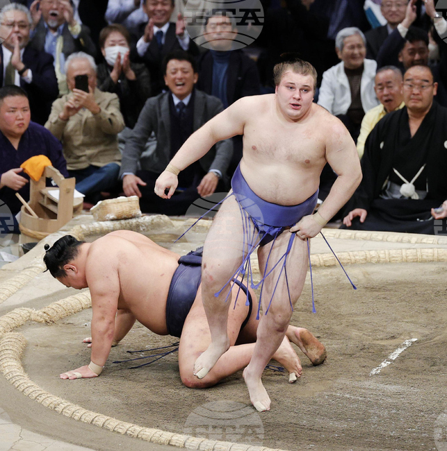 Japan Sumo