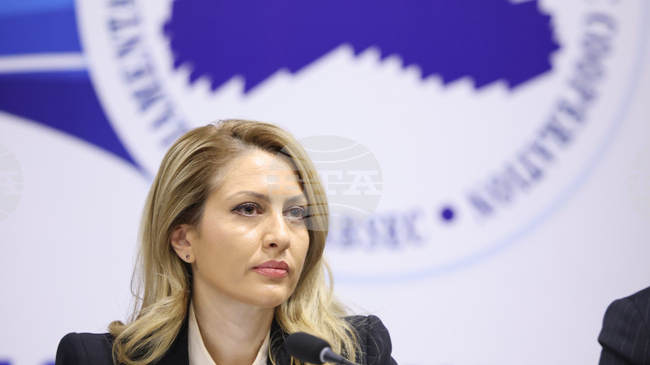 Рая Назарян представи пред ръководните органи на ПАЧИС кандидатурата на Петър Кънев за заместник-председател на организацията