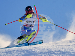 Austria Alpine Skiing World Cup