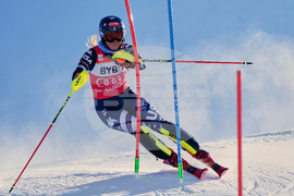 Austria Alpine Skiing World Cup