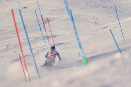 Austria Alpine Skiing World Cup